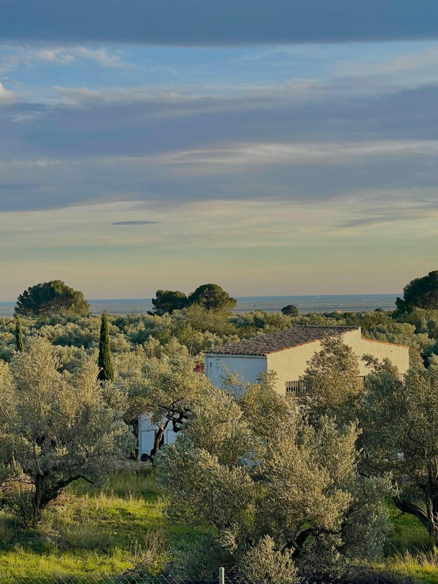 Can Mimosa Tortosa Exterior photo